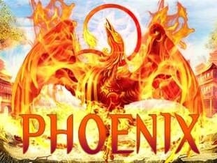 Phoenix game cover